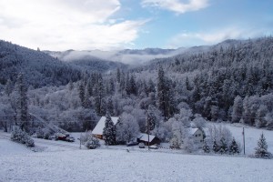 Saltmarsh Ranch in winter