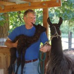Taking the new baby and Llucy into the Maternity Ward: the llama equivalent of "jugging"?
