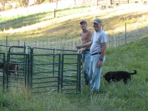 A collegial day on the farm