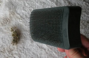 Economical and effective burr remover 