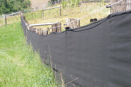 View Blocks:  Saving your fence from Soay-bashing in breeding season